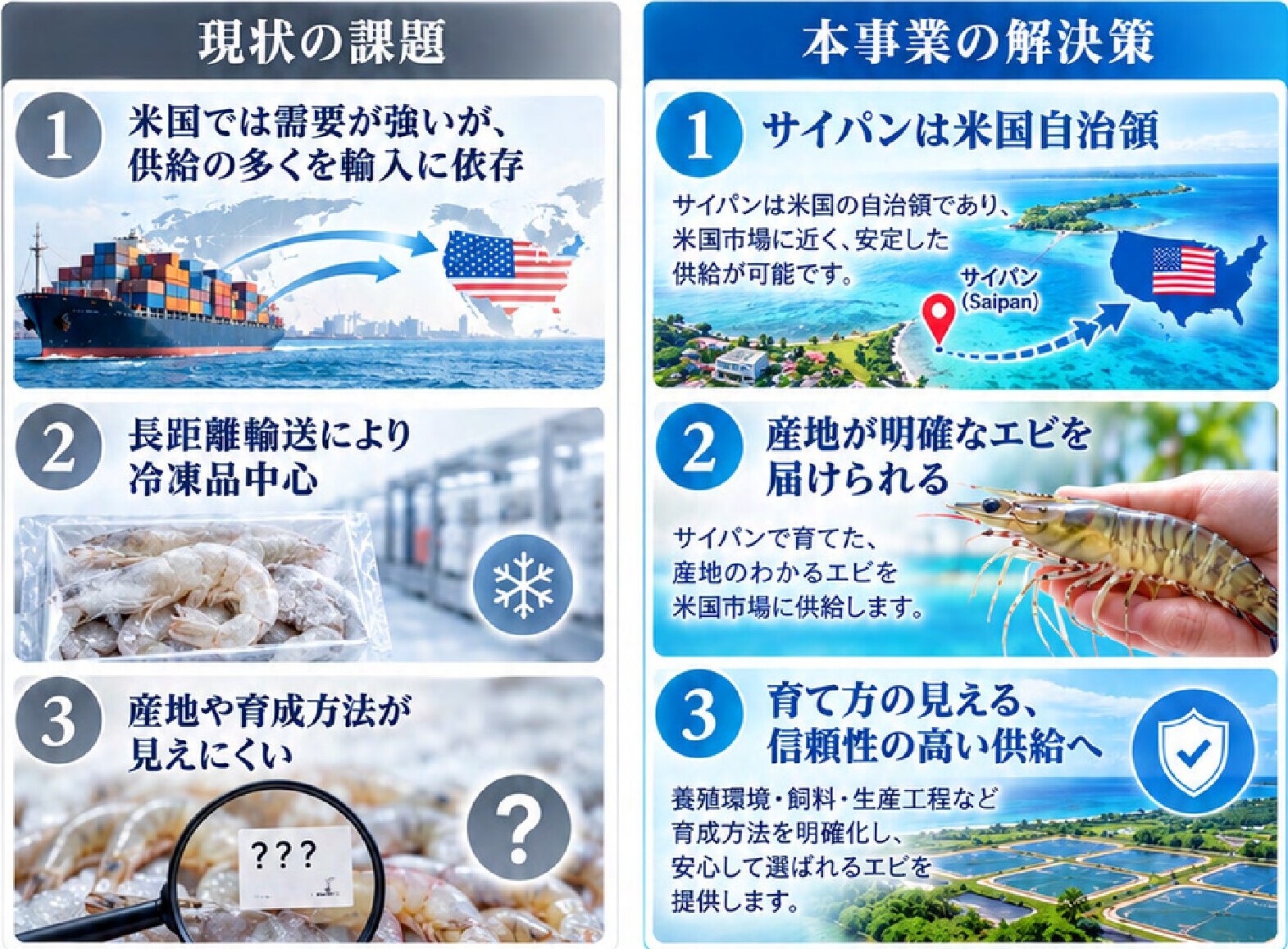 現状の課題vs本事業の解決策