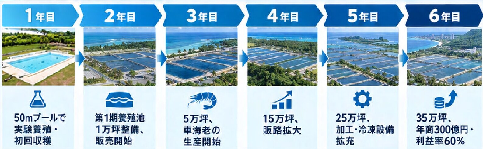 マイルストーン詳細（1〜6年目・各年の目標と写真）