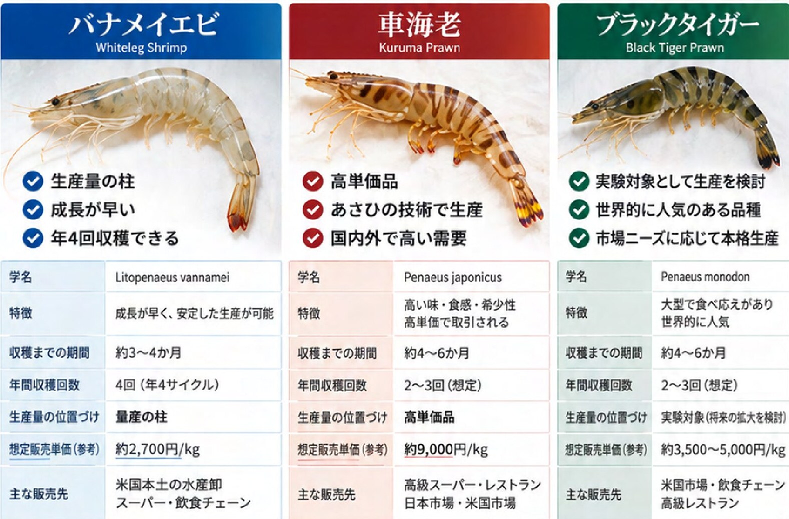 3品種の詳細比較（学名・特徴・収穫期間・単価・販売先）