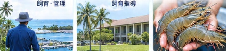 推進チーム：平松光幸氏・グアム大学・有限会社あさひ